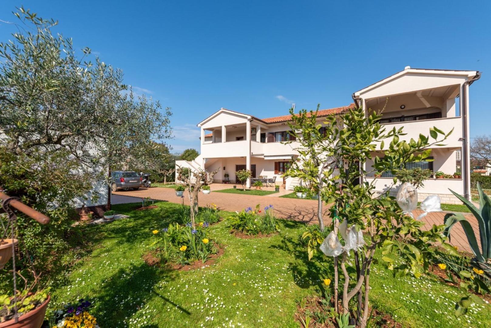 Apartment Marchela Nova Vas  外观 照片