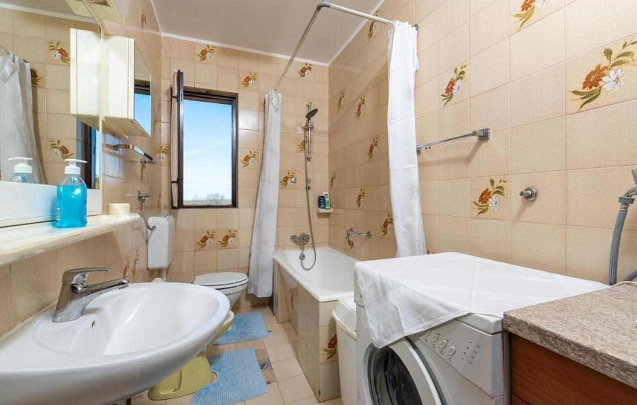Apartment Marchela Nova Vas  外观 照片
